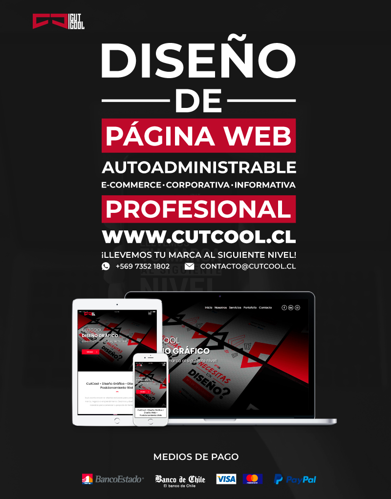 Afiche Diseño Página Web